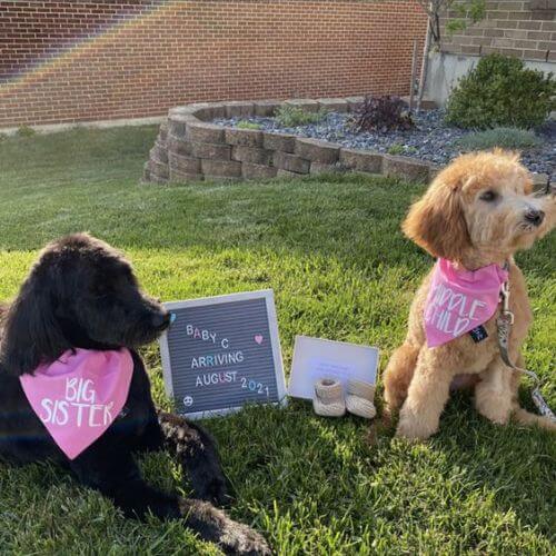 big sister and brother valentine
